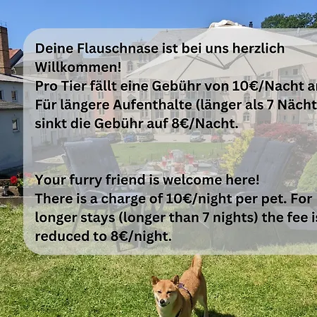 Hw3b - Helle Grosse Fuer Bis Zu 6 Personen Apartment *